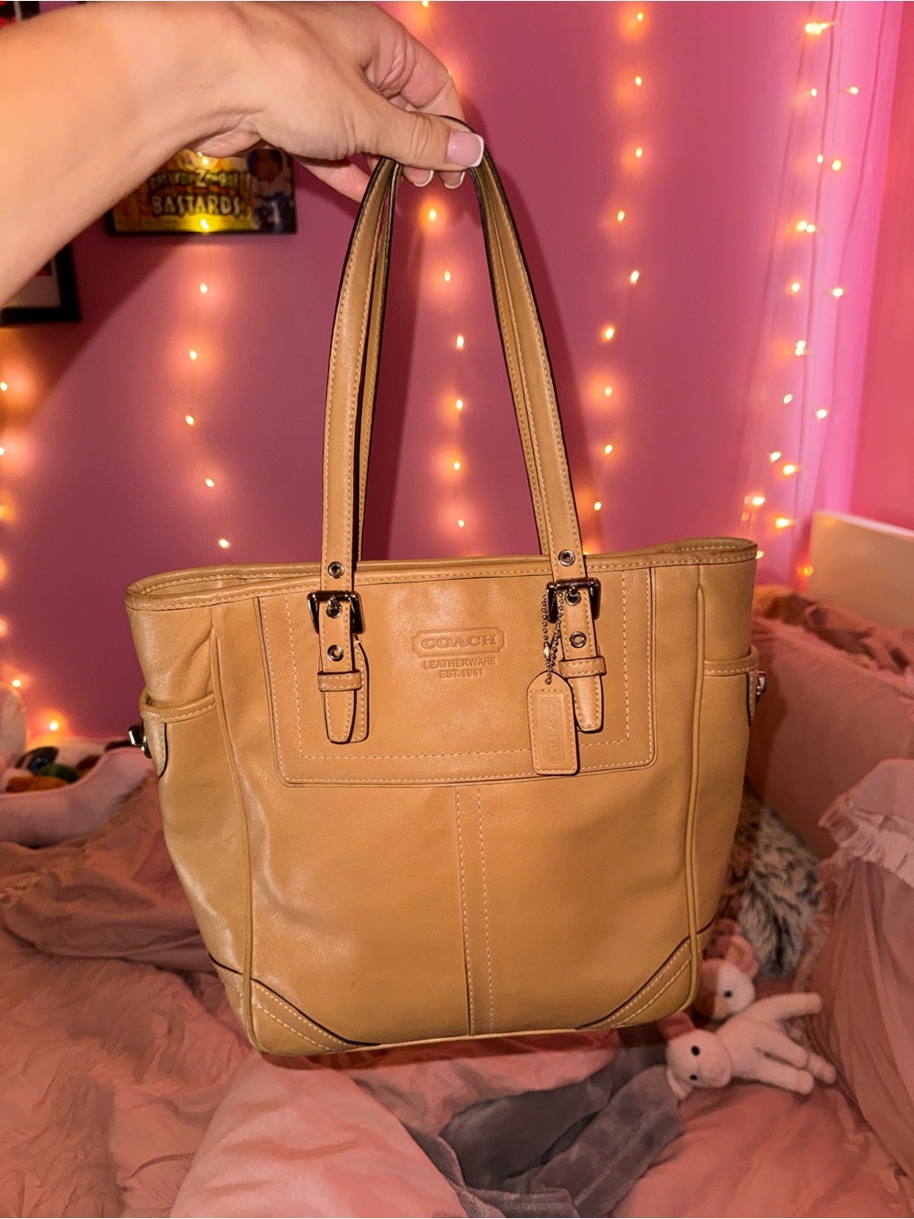 Y2K coach bag